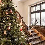 B&B Krupowki 3*